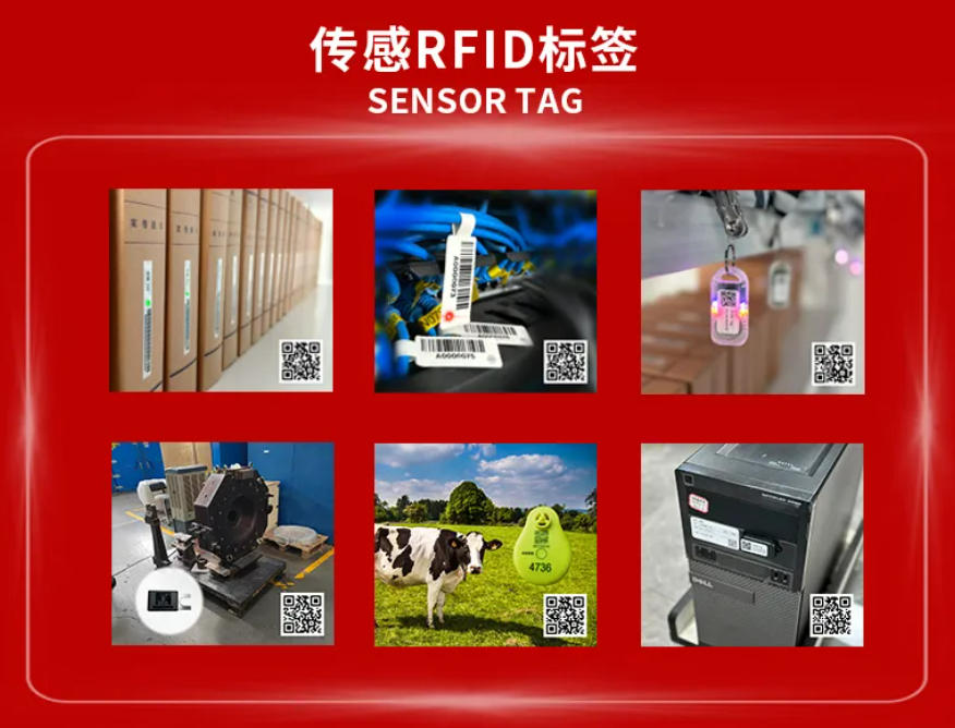 1767141894498862.jpg 20251231013.jpg